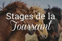 STAGE DE LA TOUSSAINT